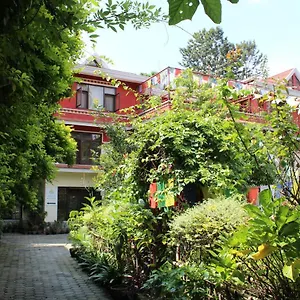 Pensión Rokpa, Katmandú